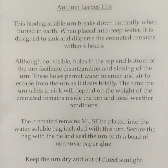 Cremation Urn.  Embrace Autumn Biodegradable - Picture 4 of 6